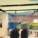 생선파는고양이 | 2025 RIIZE CONCERT TOUR [RIIZING LOUD] IN JAKARTA 후기🧡