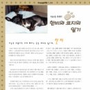 코지Ⅰ 이미지