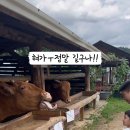 초원목장 이미지