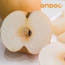 건양유통 이미지