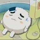 대경정육점 이미지