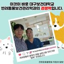 전영호 동물병원 | 울산 전영호동물병원 방문