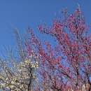 경산수영장 | [경산 아파트 청약] 호반써밋 경산 상방공원 1단지 분양가, 청약일정 총정리! (모델하우스 방문 후기)