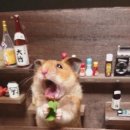 홀리몰리 이미지