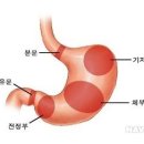 와이즈24시 동물병원 이미지