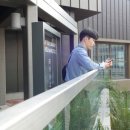 SAI MEDICAL | 홍콩 여행 3일차 - (Kennedy Town -> 홍콩대 -> 의학박물관 -> 피크트램 -> 미드레벨에스컬레이터)