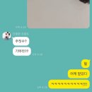 기무태권도 | 금천구체육관 [대일킥복싱무에타이 금천지점] 일일체험 찐 후기!