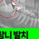 바룸치과의원 이미지