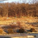 내곡동412 이미지