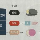 비비스테이