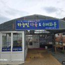 하늘빛다육