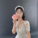 블랑드엘라 이미지