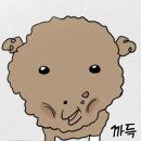 양순식당 | [스페셜 포토덤프 시즌1] #3 최근 보는 웹툰