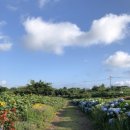 새우리농장 이미지