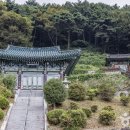 남해-153 이미지