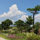 순천만국가정원 이미지