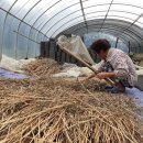 월산2리 이미지