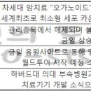 투어와이디 이미지