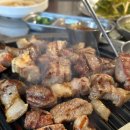 도야진가
