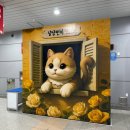 2025 냥냥펀치캣쇼일산 1일차 후기