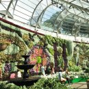 싱글마켓 이미지