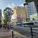 이비스 앰배서더 부산 해운대 | 부산 서면 숙소 이비스 앰배서더호텔 숙박 후기