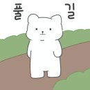 넥스트쿤 이미지