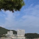 [공지] [거제여행] 한화리조트 거제 벨버디어 객실후기 _디럭스 원룸 호텔형 &amp; 부대시설