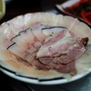고래야,참치야! 이미지