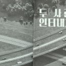 이다인터내셔널 이미지