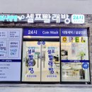 워시팡팡무인셀프빨래방포항