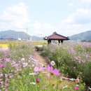 (주)코스모스 이미지