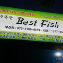 베스트피쉬 수족관 이미지