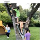 매네미 민박 이미지