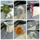 12-A | W 12 클레스튜디오 웨딩촬영 A 타입 [남경민 작가님] 추천 촬영 후기🩷