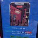 스몹고양 이미지
