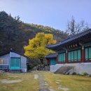 계절향기 이미지