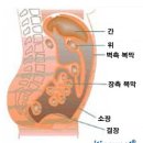 다니엘종합병원 이미지