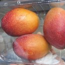 문영식 농장 이미지