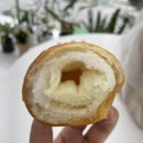 달달굽냥 이미지
