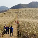 무장사지 화장실 이미지