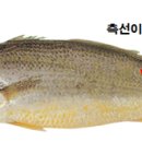 명태랑고기랑 이미지