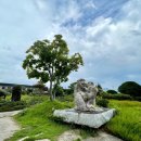 들꽃나라농장 이미지