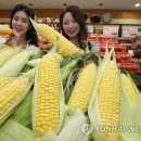더초당 이미지