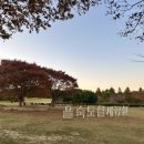 블랙업커피 | 부산 단풍명소 을숙도 피크닉광장, 블랙업커피 후기