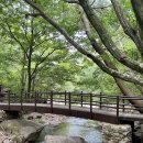 스테이 용연 이미지