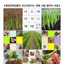 한마음장애인자립생활센터 이미지