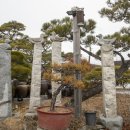 정목장 이미지