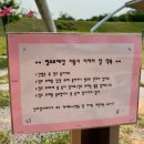 대가야생활촌 | (고령 대가야생활촌) 핑크 모래로 바뀐 최신 후기!!