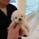 수원-1405 이미지